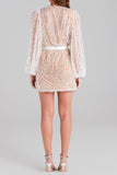 namcoverse Sequined Puff Sleeve Beachy Lace-Up See-Through Mini Dress