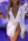 namcoverse Feather & Mesh Patchwork Glamorous See-Through Mini Dress