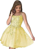 2025 Women's Homecoming Dress Short Prom Dress Lace Decal Suitable Teen Slender Strap Party Evening Dress
