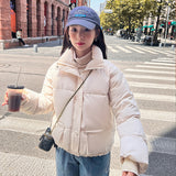 Winter stand-up collar down cotton-padded clothes 2023 New Year's short Korean version cotton-padded jacket female student Yaya Nana