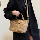 2025 Crossbody bag autumn and winter high-end niche handbag Internet celebrity same fashion Xiao Longxiang bag Korean version versatile satchel