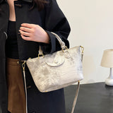 2025 Crossbody bag autumn and winter high-end niche handbag Internet celebrity same fashion Xiao Longxiang bag Korean version versatile satchel