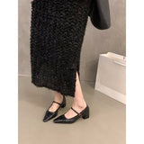 2025 high heels retro brown single shoes women's shoes popular new summer Mary Jane black commuter shoes