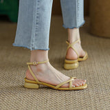 namcoverse Summer Women Sandals Square Toe Chunky Square Heel Buckle Strap Open Toe Females Slippers Fashion Elegant Cozy Footwear