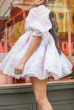 namcoverse Floral Print Girly Princess Mini Dress