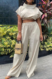 namcoverse Solid Color Cool Wide Leg Pant Suit