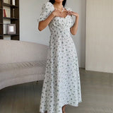 Namcoverse Vintage Sexy Print Puff Sleeve Pleated Fashion A-Line Print Maxi Dress