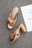 namcoverse Champagne Gold Bow Heel Sandals