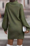 namcoverse Turtleneck Solid Sweater Dress