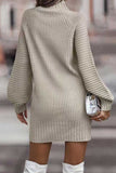 namcoverse Turtleneck Solid Sweater Dress