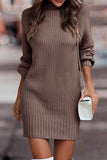 namcoverse Turtleneck Solid Sweater Dress