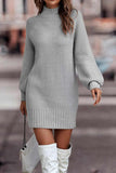 namcoverse Turtleneck Solid Sweater Dress