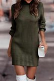 namcoverse Turtleneck Solid Sweater Dress