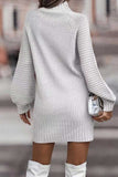 namcoverse Turtleneck Solid Sweater Dress