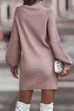 namcoverse Turtleneck Solid Sweater Dress