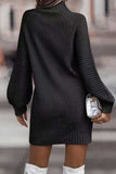 namcoverse Turtleneck Solid Sweater Dress