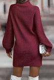 namcoverse Turtleneck Solid Sweater Dress