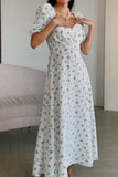 Namcoverse Vintage Sexy Print Puff Sleeve Pleated Fashion A-Line Print Maxi Dress